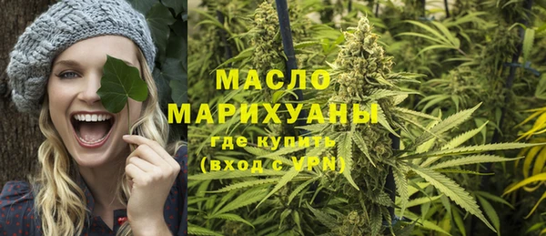 mix Богородицк