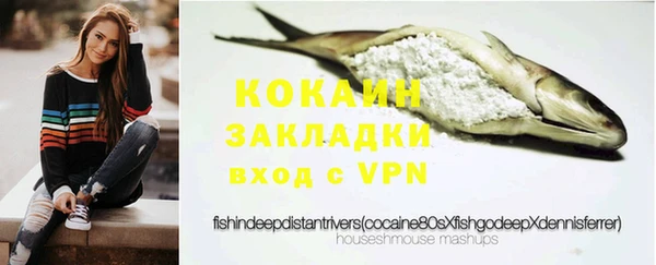 ECSTASY Богородск