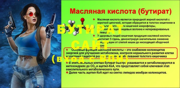 mdpv Бородино