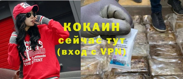 mdpv Бородино