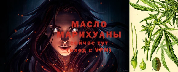 mix Богородицк