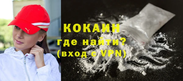 mdpv Бородино